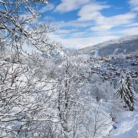 Au Pied Des Pistes, Proche Commerces, 4 Pers, Wi-fi Gratuit, Animaux Admis - Fr-1-182-201 Apartment