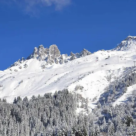 Apartment Au Pied Des Pistes, Proche Commerces, 4 Pers, Wi-fi Gratuit, Animaux Admis - Fr-1-182-201